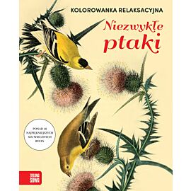 Kolorowanka relaksacyjna. Niezwykłe ptaki