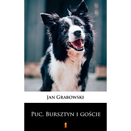 Puc, Bursztyn i goście (e-book)
