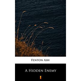 A Hidden Enemy (e-book)