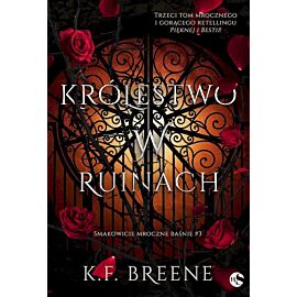 Królestwo w ruinach. Smakowicie mroczne baśnie. Tom 3