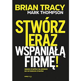 Stwórz teraz wspaniałą firmę! Siedem etapów na drodze do wysokich zysków (e-book)