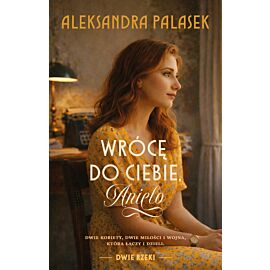 Wrócę do ciebie, Anielo (e-book)