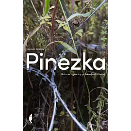 Pinezka