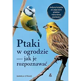 Ptaki w ogrodzie - jak je rozpoznawać