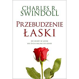 Przebudzenie łaski. Od wiary w łaskę do życia nią na co dzień