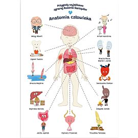 Plakat edukacyjny anatomia człowieka dla dziecka format a2