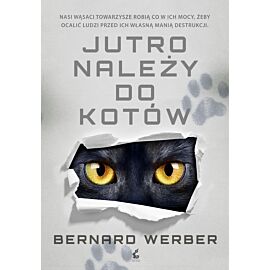 Jutro należy do kotów