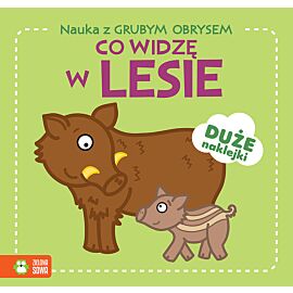 Nauka z grubym obrysem. Co widzę w lesie