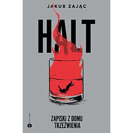 HALT. Zapiski z domu trzeźwienia