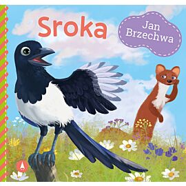 Sroka