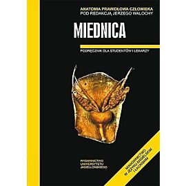 Anatomia prawidłowa człowieka. Miednica
