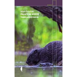 Pałace na wodzie (e-book)