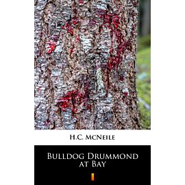 Bulldog Drummond at Bay (e-book)