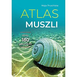 Atlas muszli