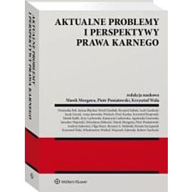 Aktualne problemy i perspektywy prawa karnego