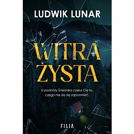 Witrażysta