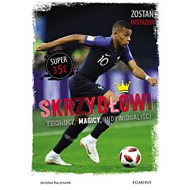 Skrzydłowi. Technicy, magicy, indywidualiści