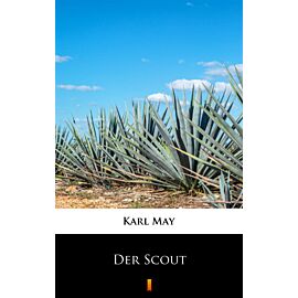 Der Scout (e-book)
