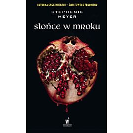 Słońce w mroku (e-book)
