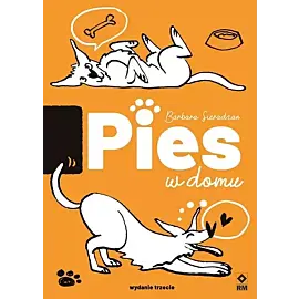 Pies w domu