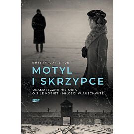 Motyl i skrzypce