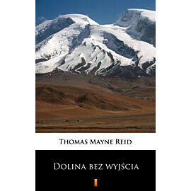 Dolina bez wyjścia (e-book)