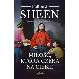 Miłość, która czeka na ciebie. Jak czerpać z miłości chrystusa