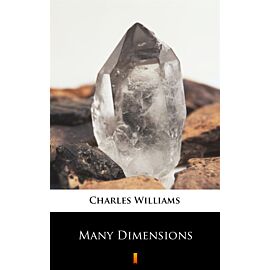 Many Dimensions (e-book)