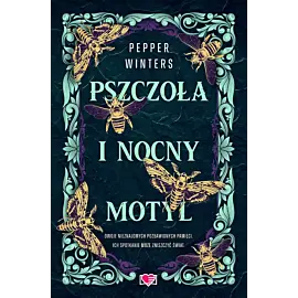 Pszczoła i nocny motyl. Destini Chronicles. Tom 1