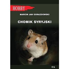 Chomik syryjski