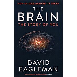 The Brain The Story of You