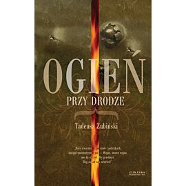 Ogień przy drodze (e-book)