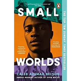 Small Worlds