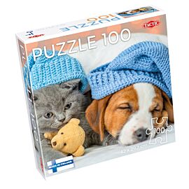 Puzzle 100 Cute Kitten and Sleepy Dog 59232