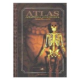 Atlas anatomii człowieka