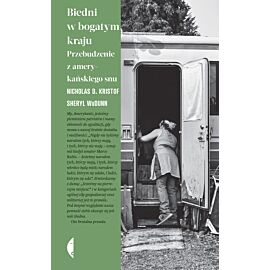 Biedni w bogatym kraju (e-book)