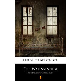Der Wahnsinnige (e-book)