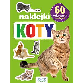 Koty