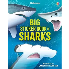 Big Sticker Book of Sharks