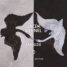 Łabędzie (audiobook MP3)