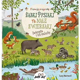 Żabki i psiaki. Te małe zwierzaki.