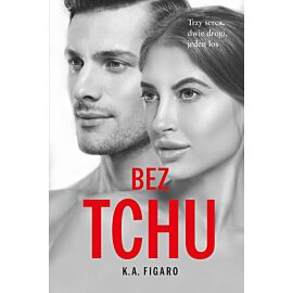 Bez tchu. Tom 5. Pocket