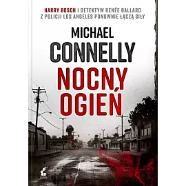 Nocny ogień