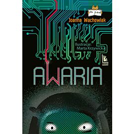 Awaria (e-book)