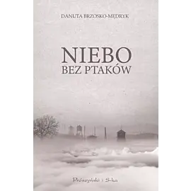 Niebo bez ptaków (Duże Litery)