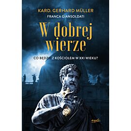 W dobrej wierze (e-book)