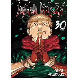 Jujutsu Kaisen - 30
