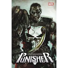 Punisher tom 01