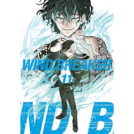 Wind Breaker - 11