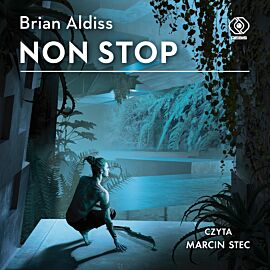 Non stop (audiobook MP3)